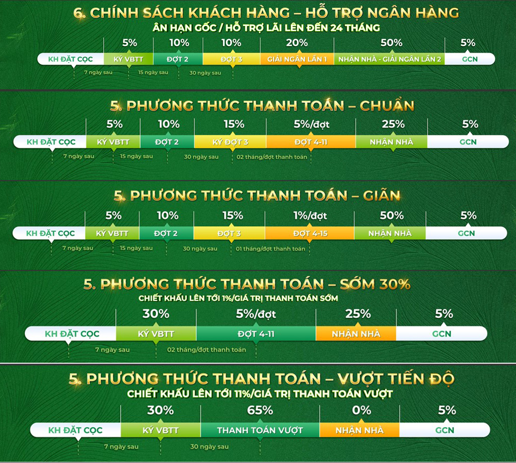 Chính sách tổng hợp Five Star Eco City
