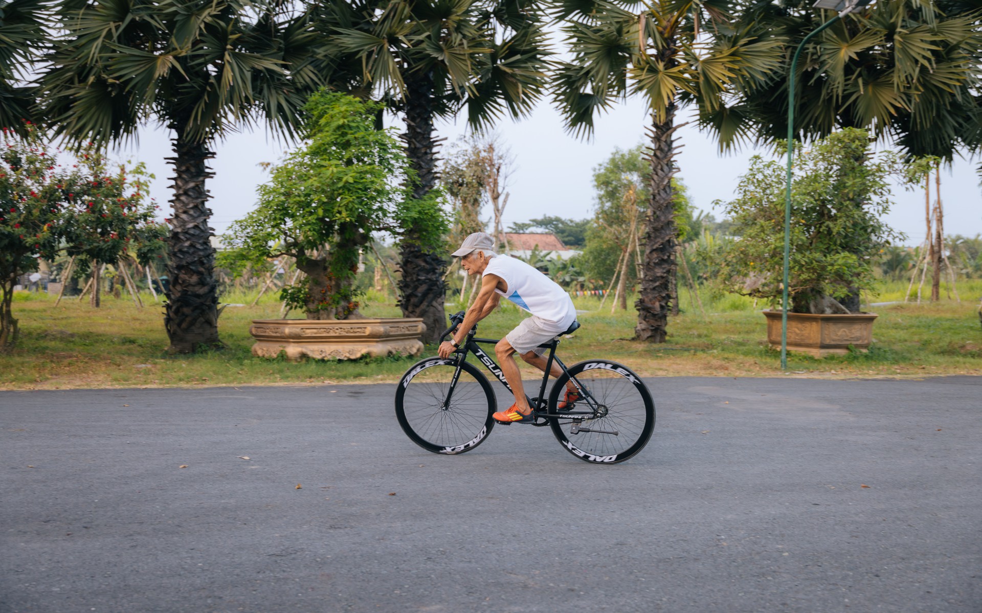 Không gian chạy bộ rợp bóng cây